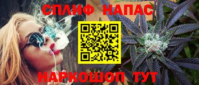 дживик Камышлов