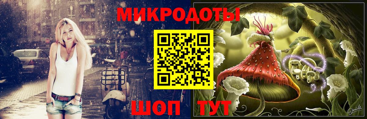 как найти наркотики  Вход с VPN  Кстово  Галлюциногенные грибы Psilocybine cubensis 
